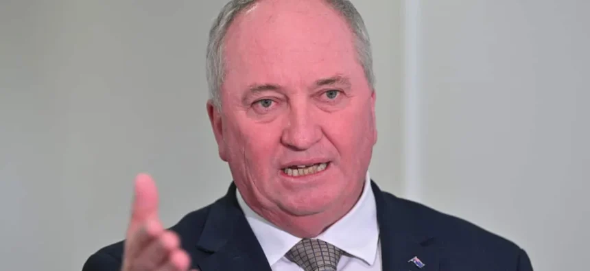 Barnaby Joyce Distances One Nation from German Far-Right AfD