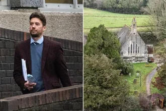 Author Prosecuted for Bat Roost Destruction After Instagram Posts