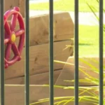 Child Abuse Allegations at Queensland Early Learning Centre