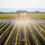 Mosaic Company Navigates Sulfur Price Pressures on Fertilizer Margins
