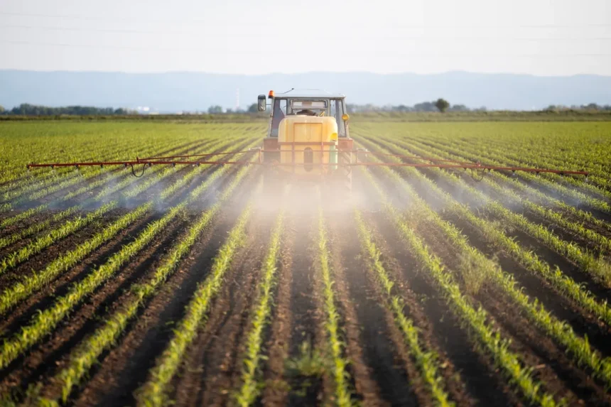 Mosaic Company Navigates Sulfur Price Pressures on Fertilizer Margins Mosaic Company Navigates Sulfur Price Pressures on Fertilizer Margins