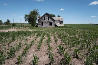 Record Diesel Prices Hamper U.S. Farmers Ahead of Crucial Harvest