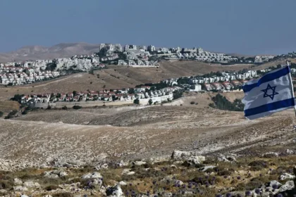 New Zealand’s Stance on Israel Sanctions: A Call for Action