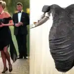Princess Diana’s ‘Revenge Dress’ Expected to Fetch Over 0,000 at Auction