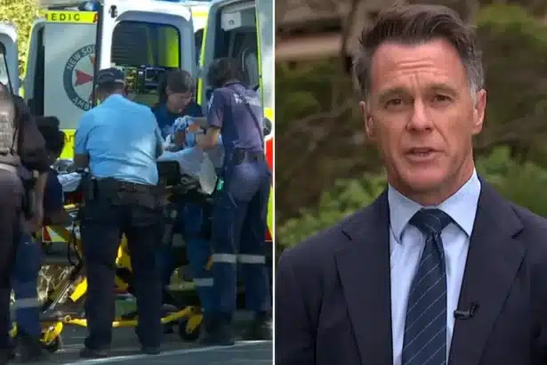 NSW Premier Acknowledges Need for Better Domestic Violence Response